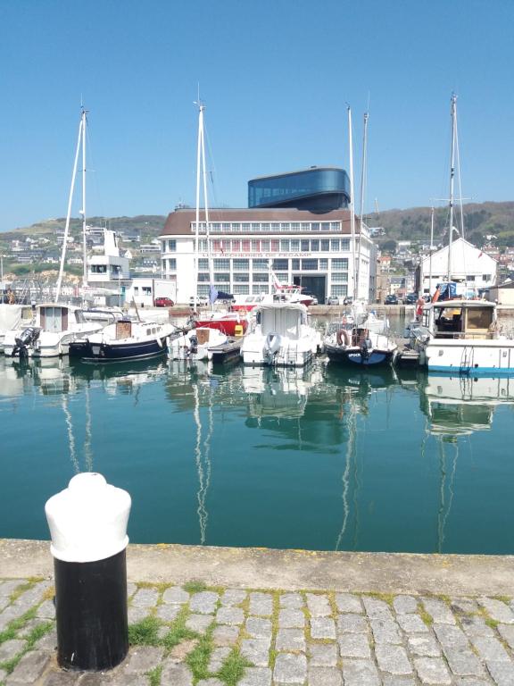 a group of boats are docked in a marina at L' ALBATROS vue sur le port in Fécamp