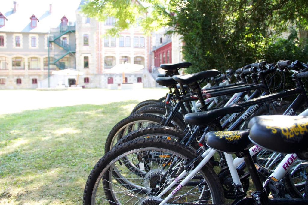 Jízda na kole v ubytování Château de Béguin nebo okolí