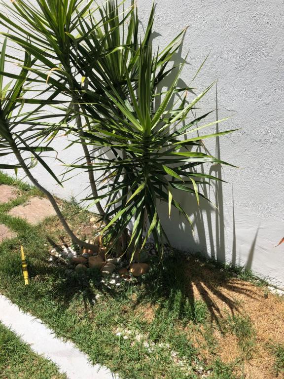  Casas Aracaju Temporada