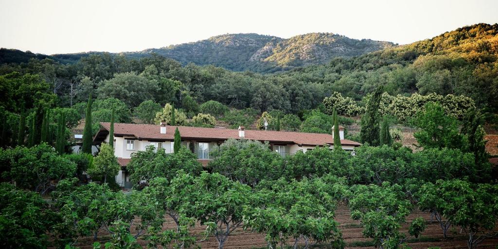 une maison au milieu d'un champ d'arbres dans l'établissement Lalisea, à Talaveruela