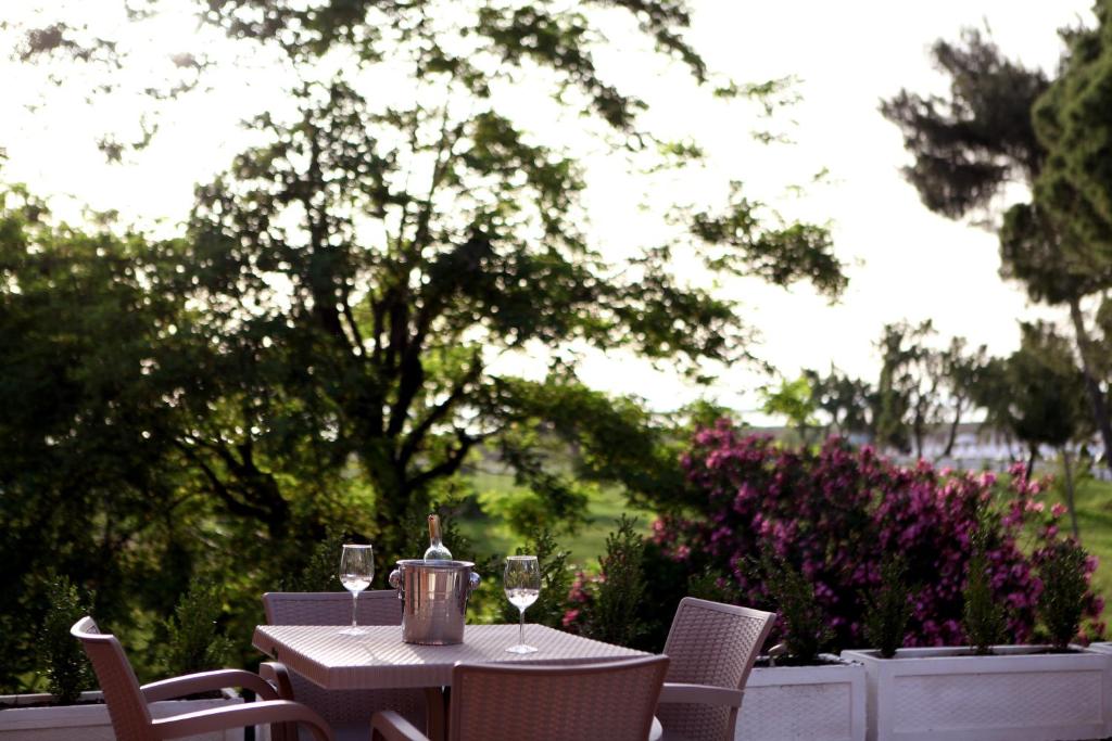 Zahrada ubytování Hotel Pelikan