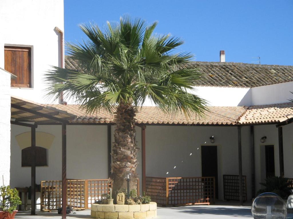 uma palmeira em frente a um edifício em Casa Vacanze Margherita em Locogrande