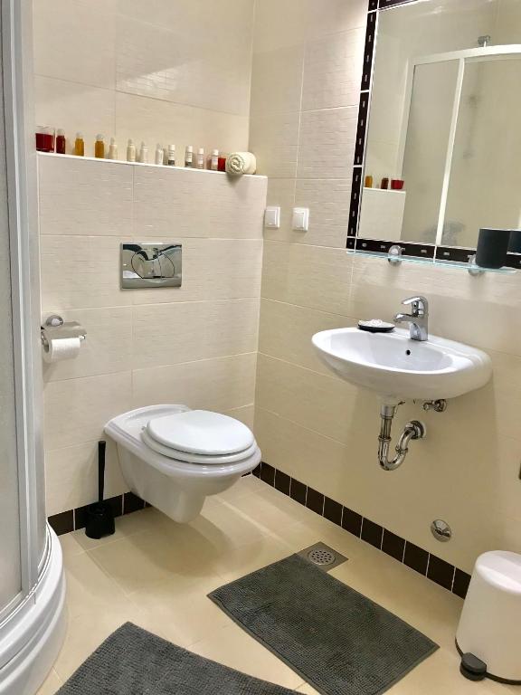 łazienka z toaletą i umywalką w obiekcie Apartment Pepa Starigrad Paklenica w mieście Starigrad-Paklenica