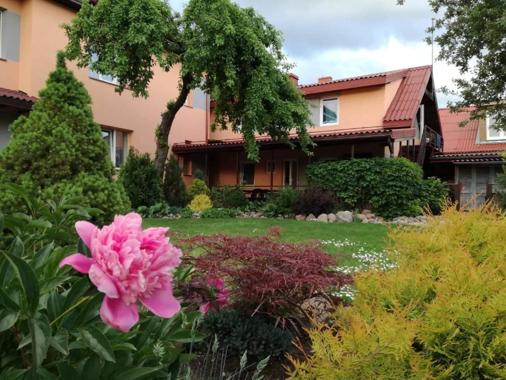 a garden in front of a house with a pink flower at Magdelena in Palanga