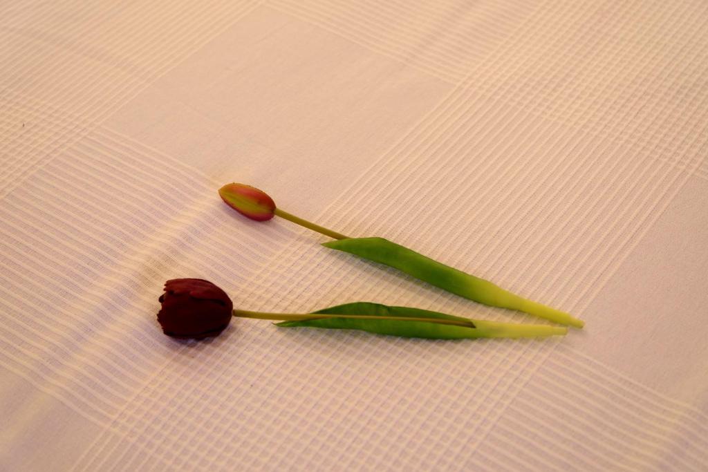 um par de flores num pedaço de papel em Balconcino sugli Ulivi em Noto