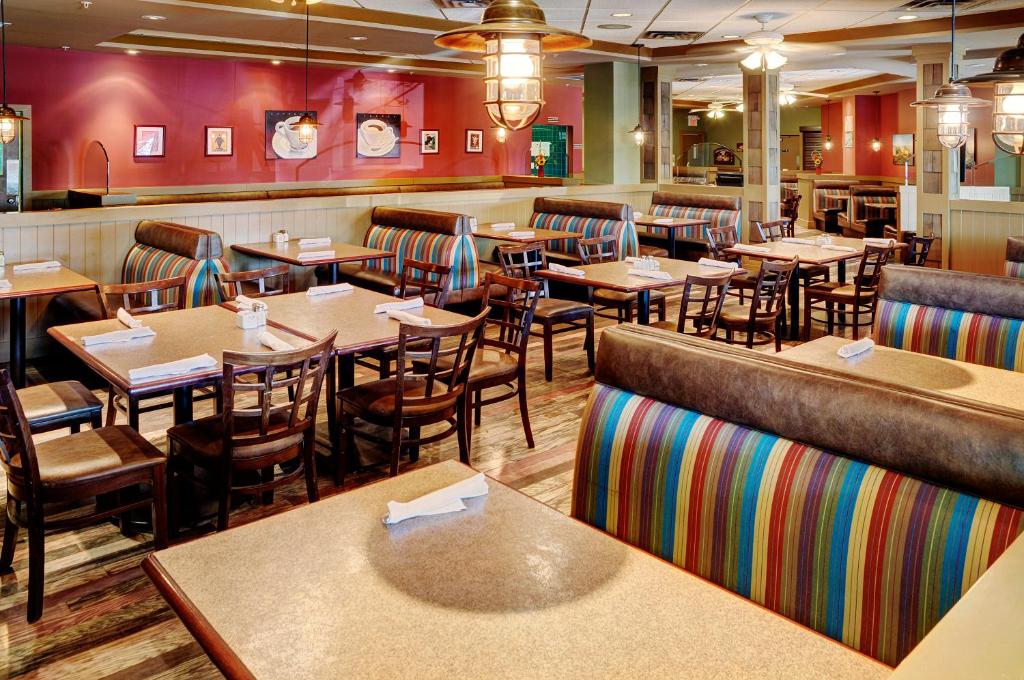 Chateau Nova Kingsway - Resim 7