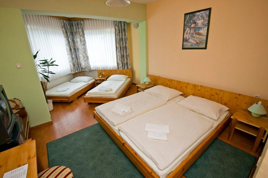 Postel nebo postele na pokoji v ubytování Motel Kod Bakija