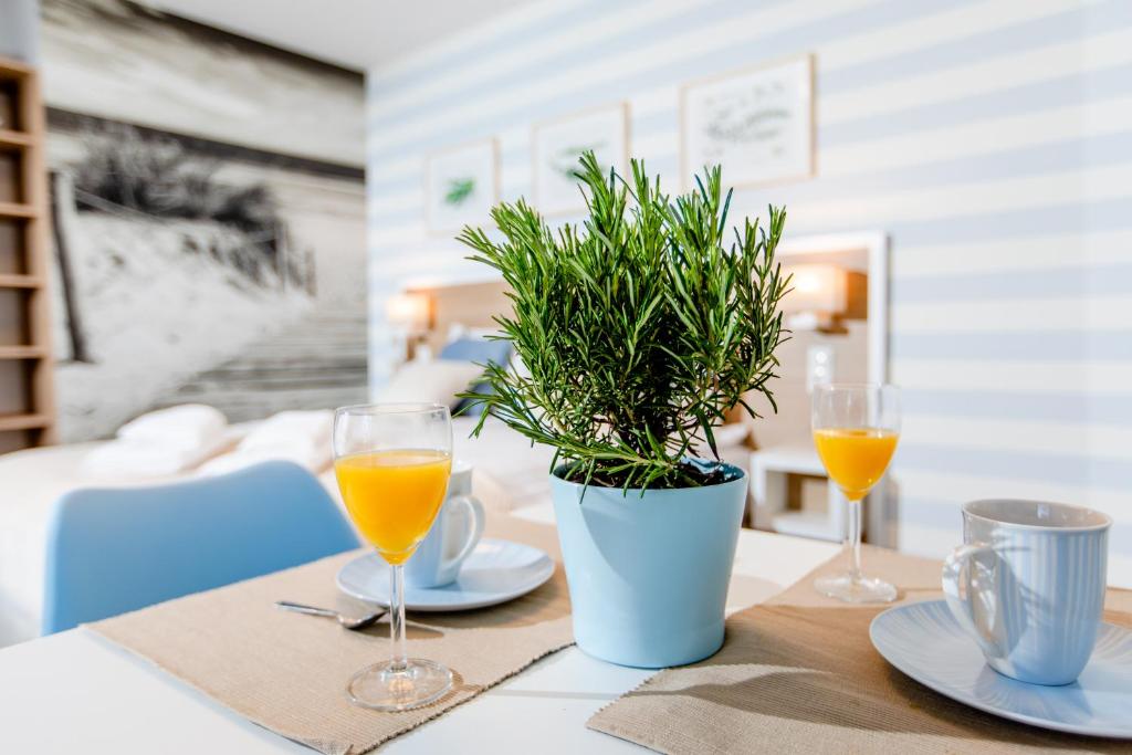 stół z dwoma kieliszkami soku pomarańczowego i rośliną doniczkową w obiekcie villa botanica w mieście Niechorze