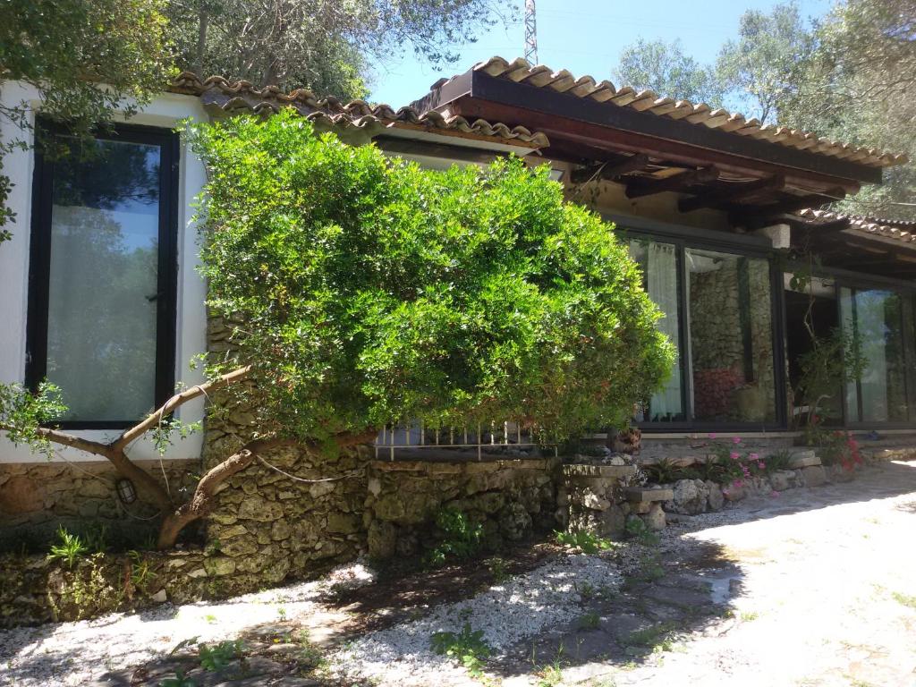 Vonkajšia záhrada v ubytovaní Limonaia in Salento