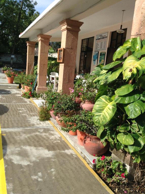 Zahrada ubytování Hotel Tecozautla