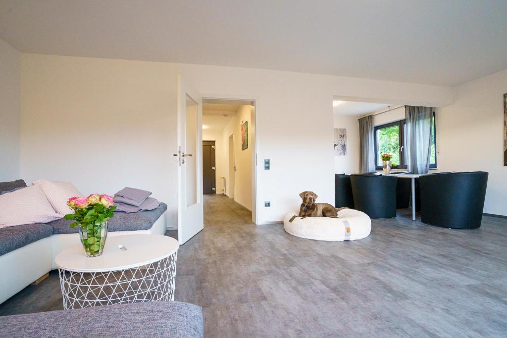 Ferienwohnung Rauszeit Lennestadt Sauerland - Appartamento Con 3 Camere Da Letto