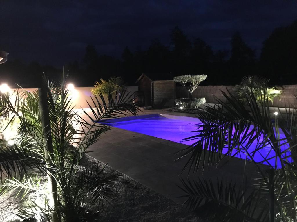 una piscina por la noche con luces azules en La Cigale, en La Ferté-Saint-Cyr