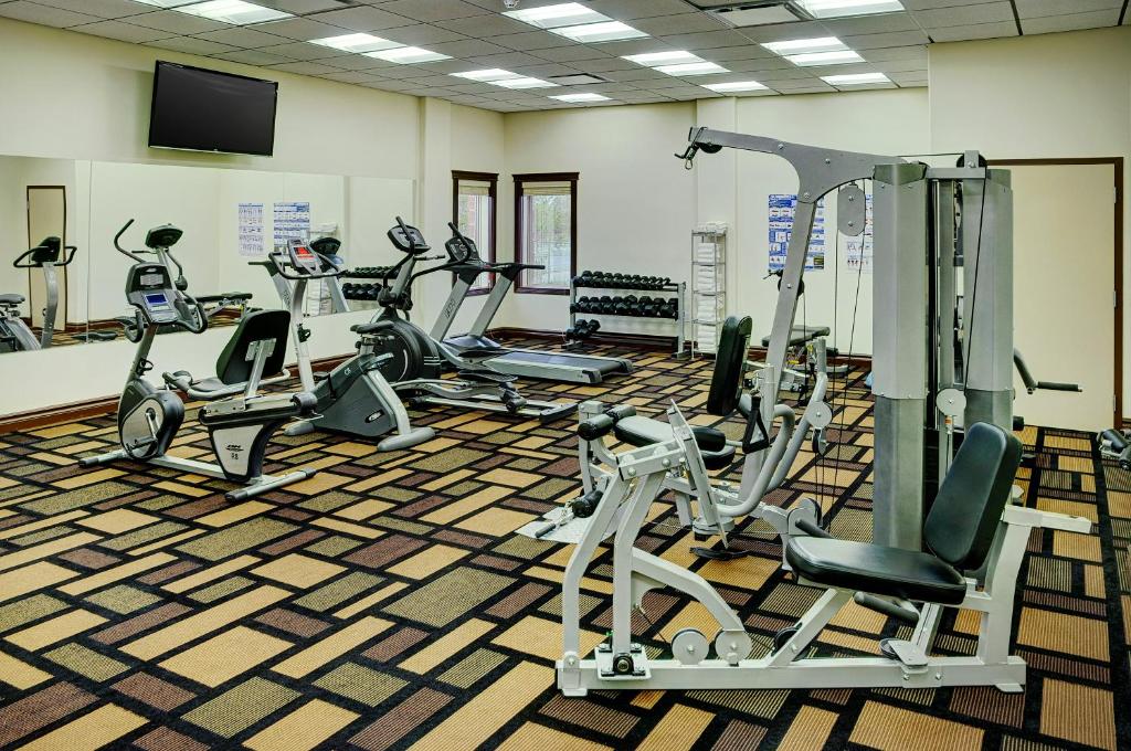 Fitness centrum a/nebo fitness zařízení v ubytování Chateau Nova Yellowhead