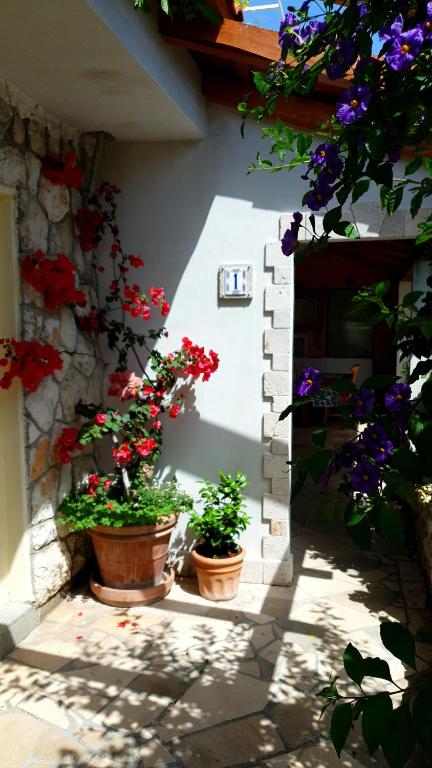 Zahrada ubytování Apartments Mare
