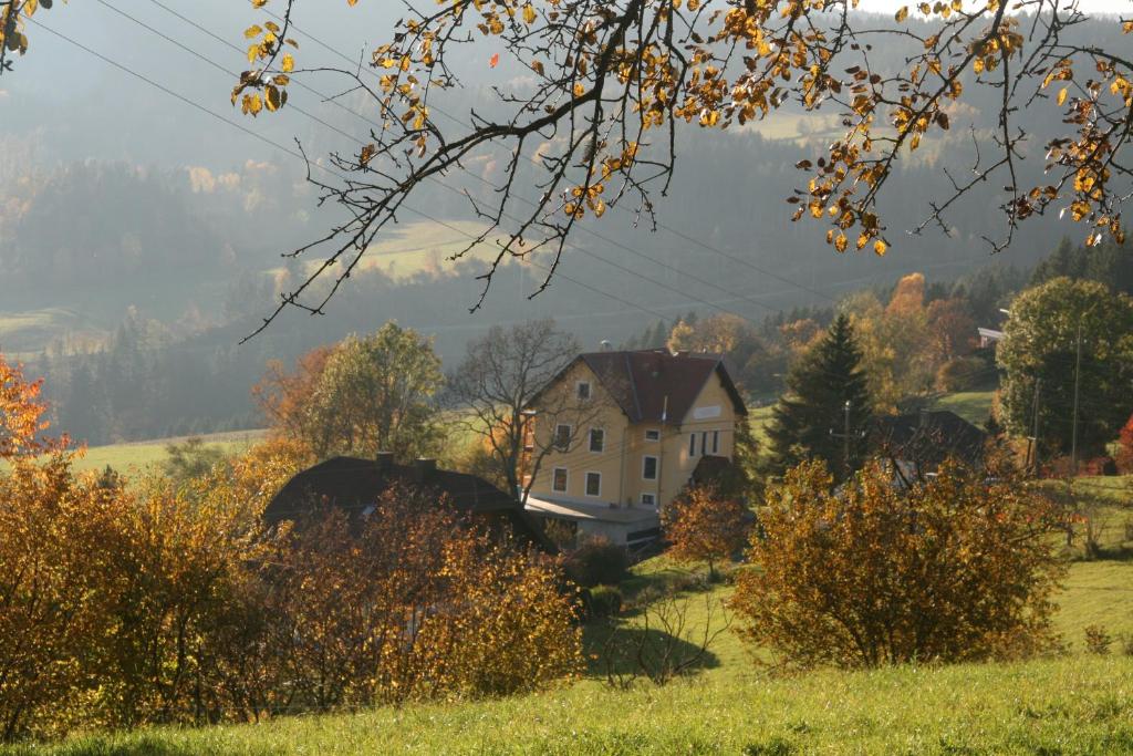 Příroda nedaleko apartmánu