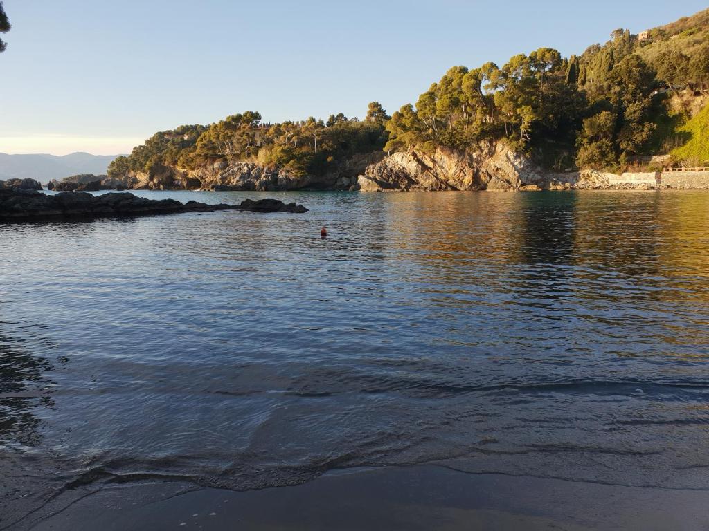 a large body of water with trees and rocks at Campeggio Gianna Golfo dei Poeti in Lerici