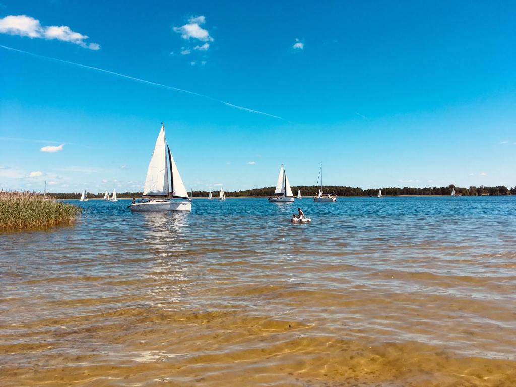 three sailboats on a lake with a person in the water at Apartamenty Ptasie Gniazdo Stare Sady in Mikołajki