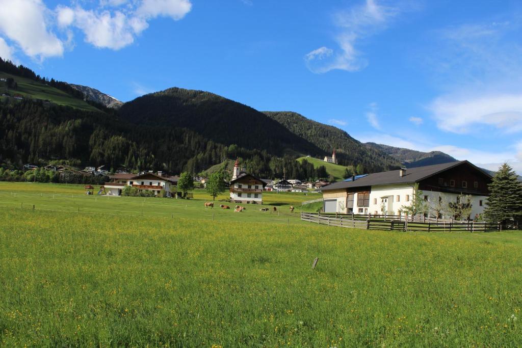 Příroda nedaleko apartmánu