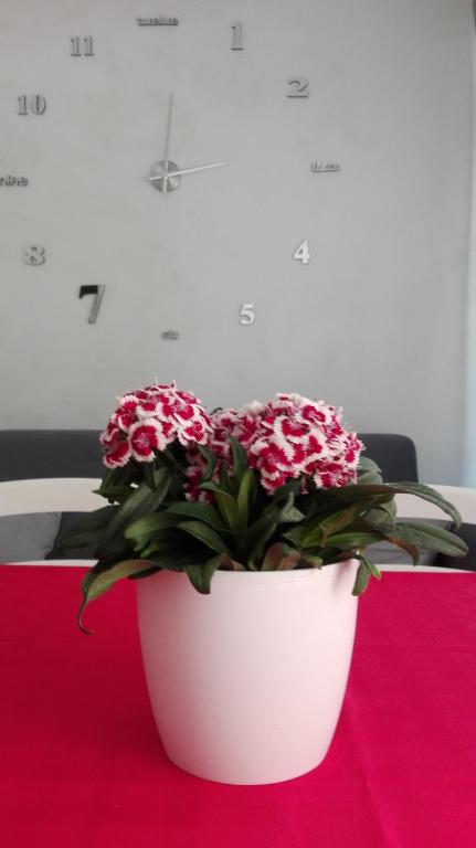 Zdjęcie z galerii obiektu Sweety House w mieście San Giovanni Gemini