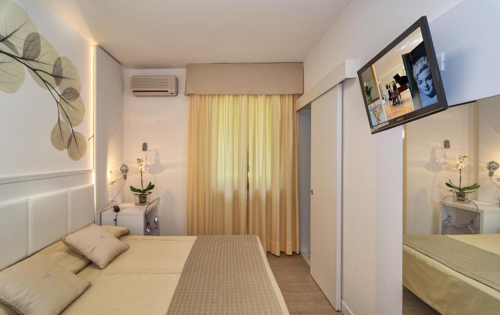 TV a/nebo společenská místnost v ubytování Hotel Hermitage