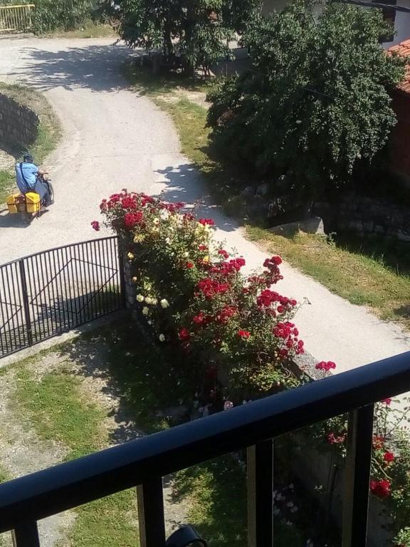 Zahrada ubytování Sobe Seka