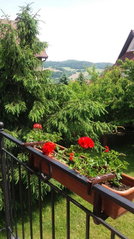 um jardim com flores vermelhas numa varanda em villa em Nowa Ruda