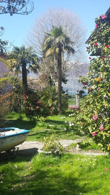 Ogród w obiekcie VILLA LAGO foreground - Pet friendly stay- garden-parking-Lake view- Bike friendly holiday house
