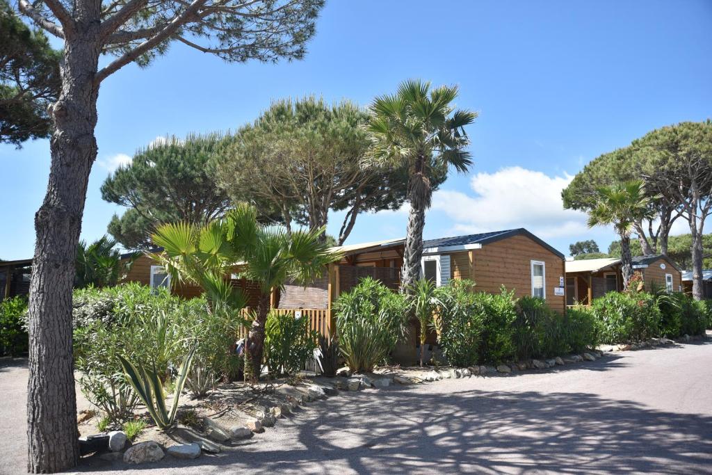 a house with palm trees in front of a street at Sas Robrecht in Saint-Tropez