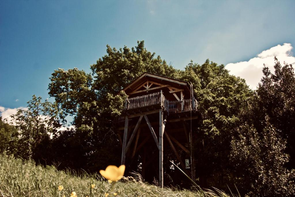 a bird house in the middle of a field at Aura Cabana - Cabane spa perchée à 6 m de haut in Saint-André-dʼOlérargues