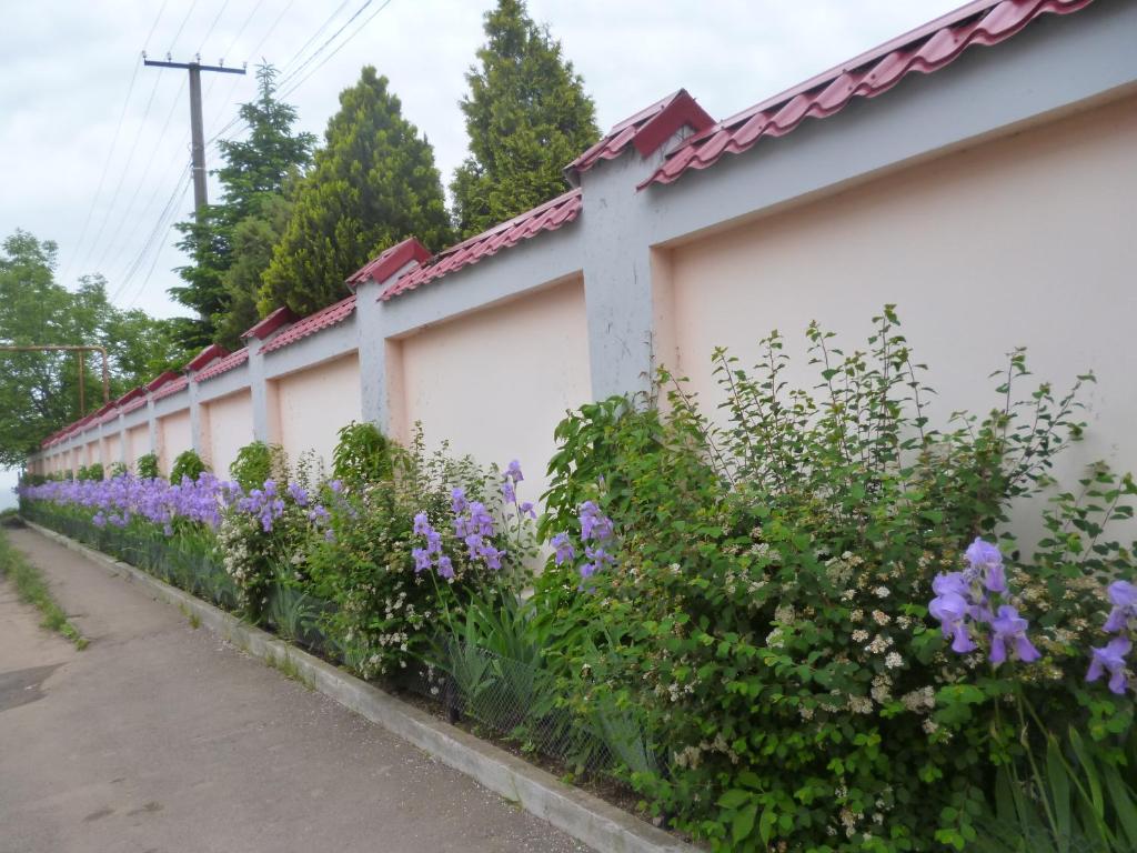 Zahrada ubytování Mini Hotel Уютный дворик