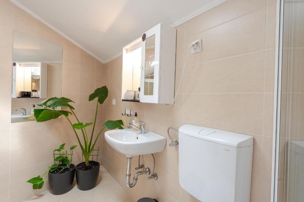 Apartments Grgich - 9