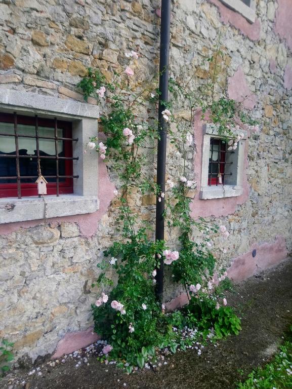 un edificio in pietra con fiori davanti a una finestra di casa Grinovero a Cividale del Friuli