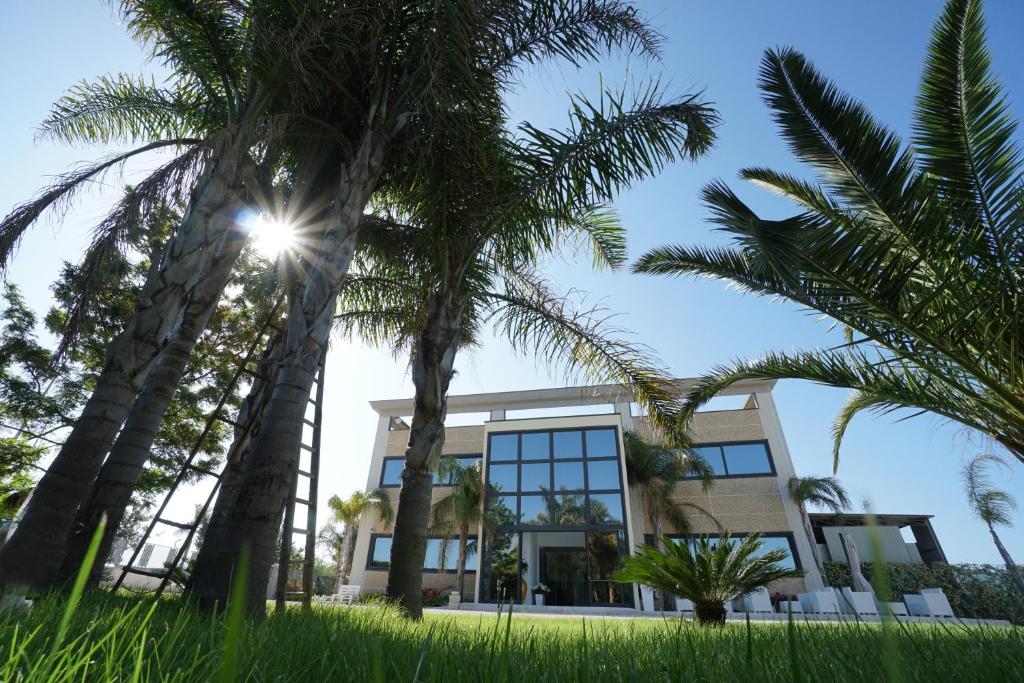 terra di negroamaro -  a Leverano