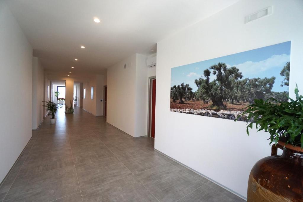 terra di negroamaro -  a Leverano - foto 39