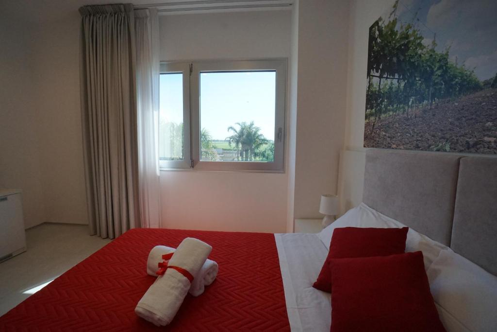 terra di negroamaro -  a Leverano - foto 2