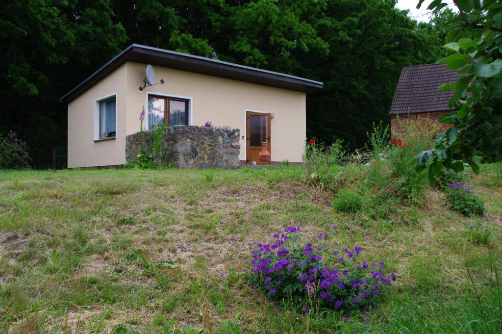 uma pequena casa num campo com flores roxas em Bungalow am Forsthaus Stagnieß em Ückeritz