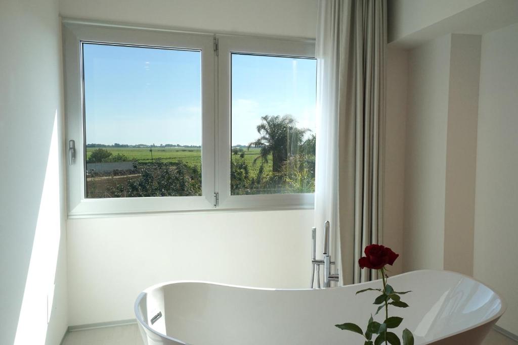 terra di negroamaro -  a Leverano - foto 20