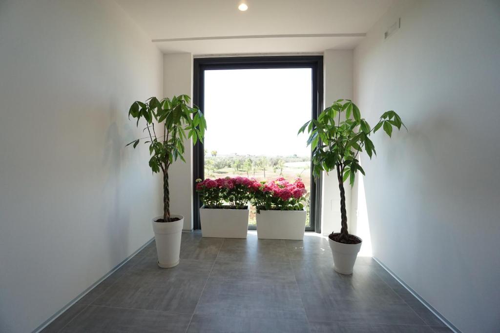 terra di negroamaro -  a Leverano - foto 13