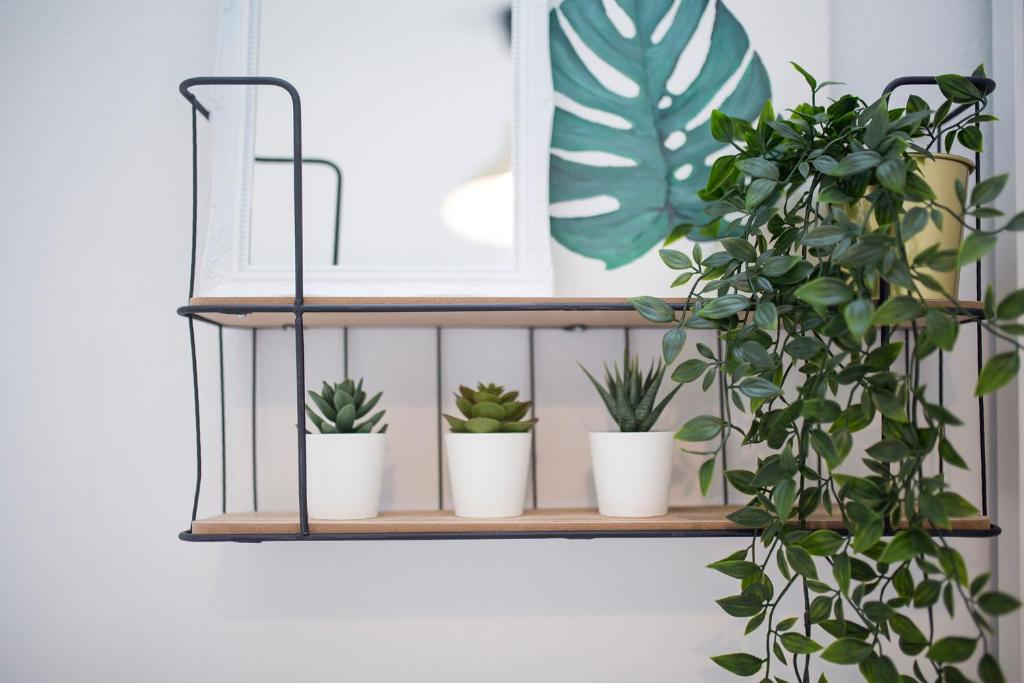 Domus Lux Houses by Konnect - 8