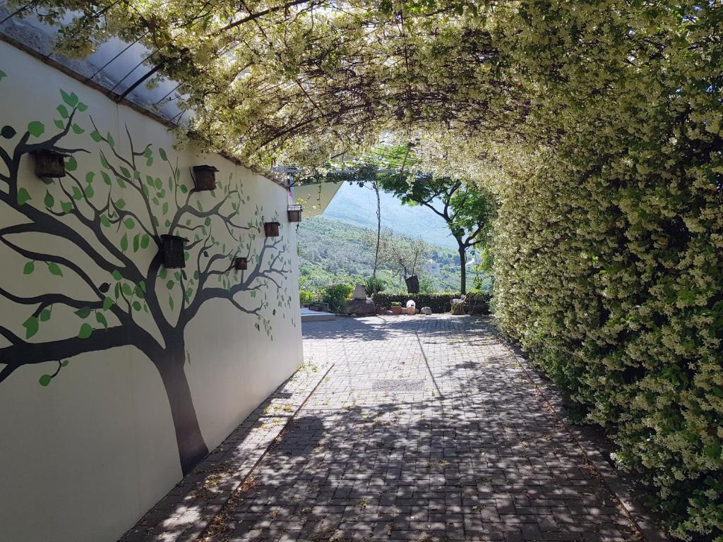 IoniaHouse Surrel Villa - Imazhi 10