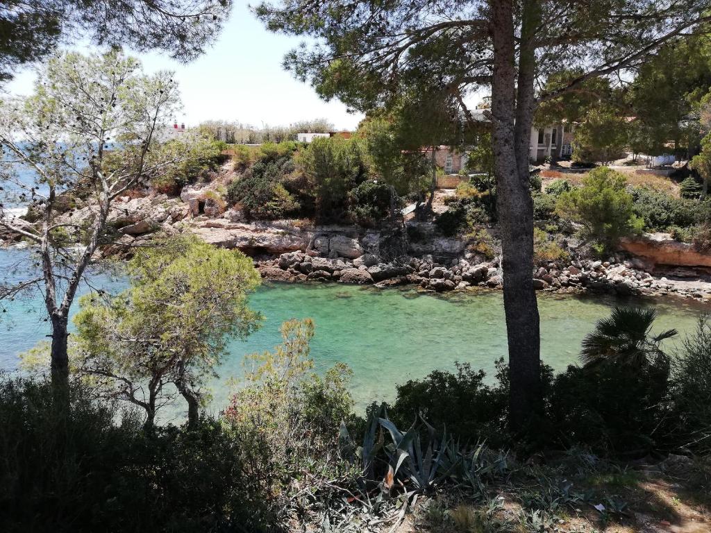 Fotografie z fotogalerie ubytování Xalet a primera linea de mar v destinaci Calafat