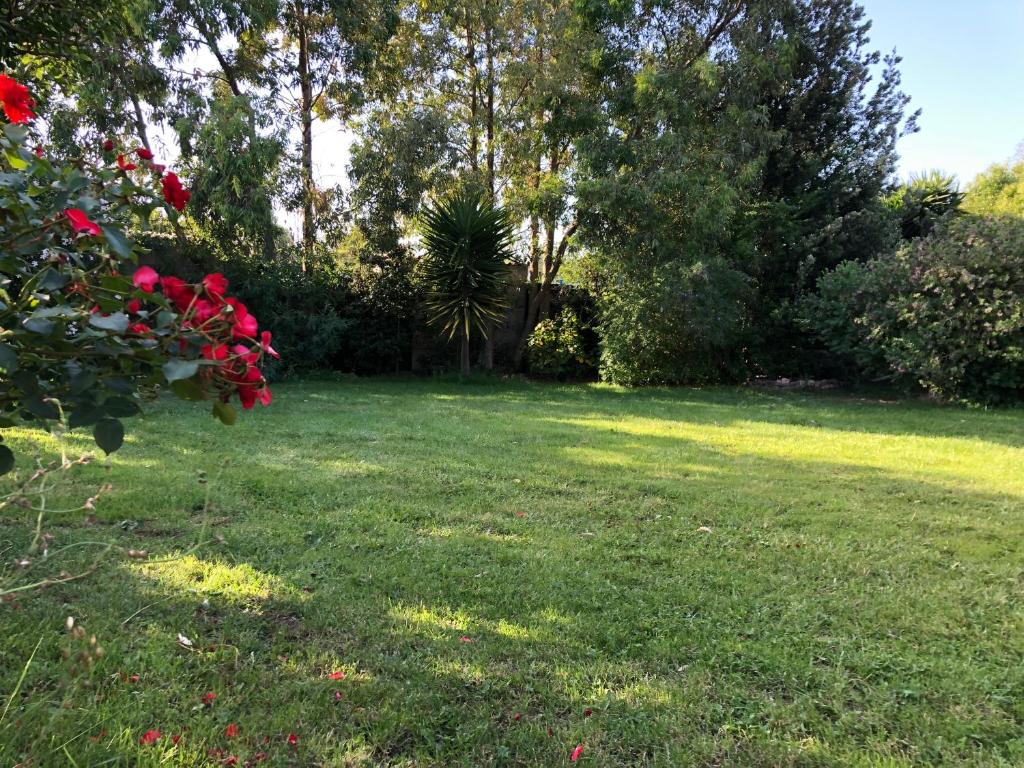 a yard with green grass and red flowers and trees at Le terre cotte in Decimomannu