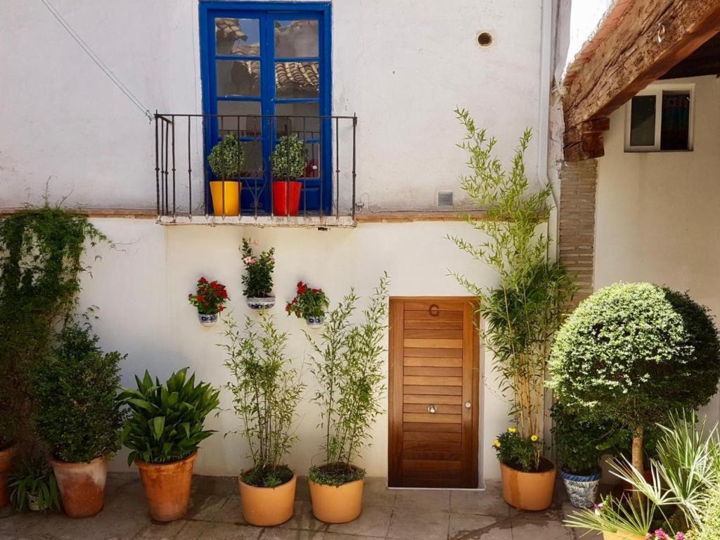 グラナダにあるApartamento en el Albaicín de Granadaの鉢植えの建物