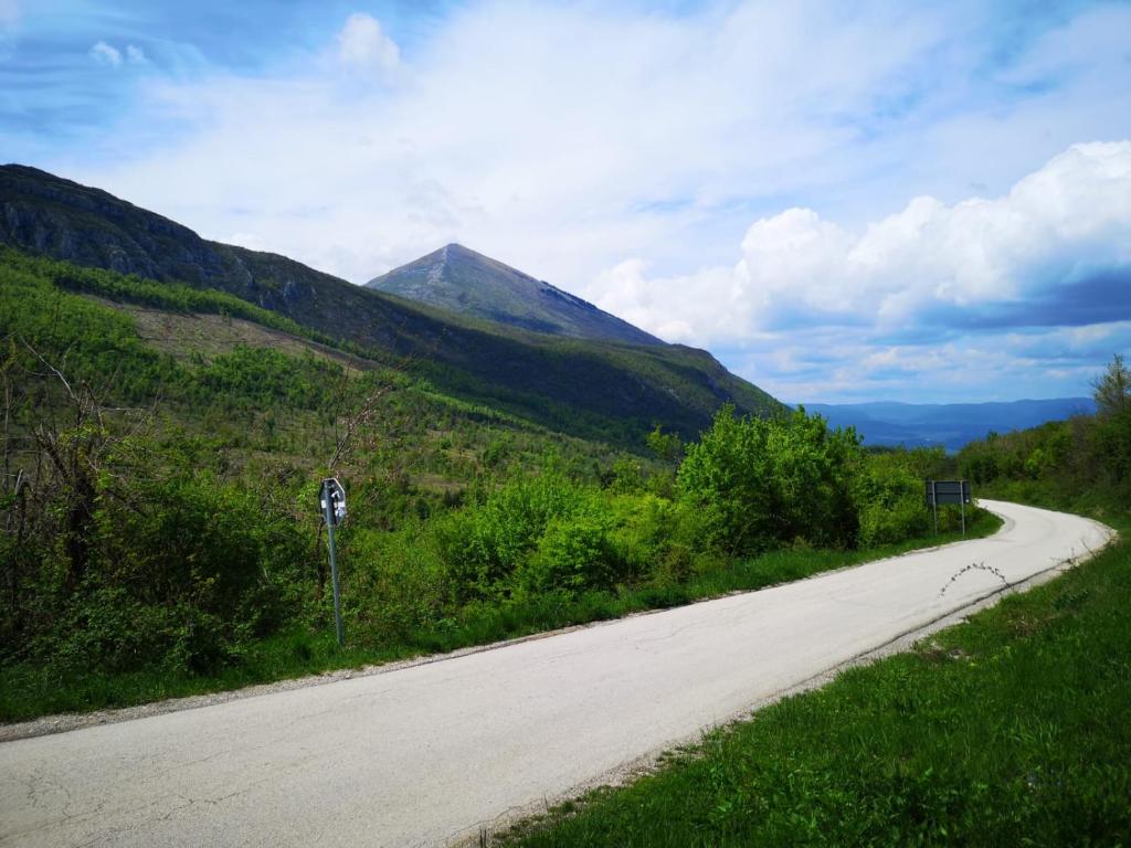 an empty road with a mountain in the background at Sobe Gmitrovic in Rtanj