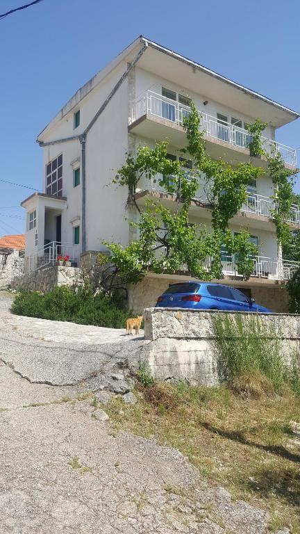 a dog is standing in front of a house at David in 5 in Primošten