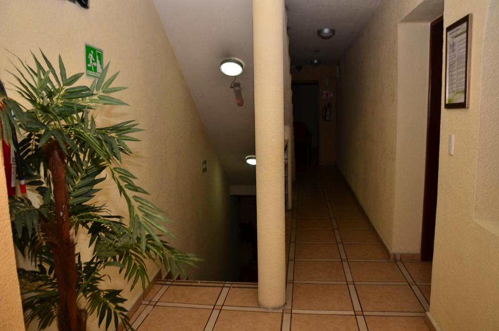 Fotografie z fotogalerie ubytování Hotel Suite Azomali v destinaci Tula de Allende