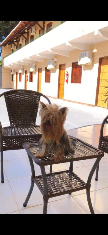  Hotel Pinto Martins