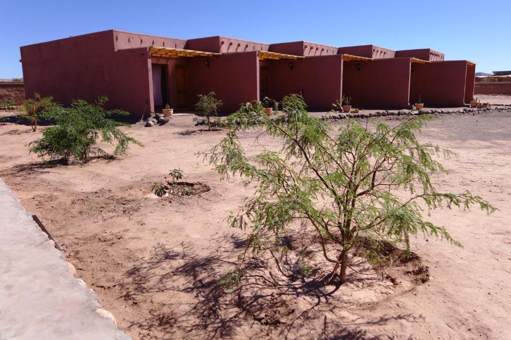 a building in the desert with trees in front of it at Casa Ckelar Atacama in San Pedro de Atacama