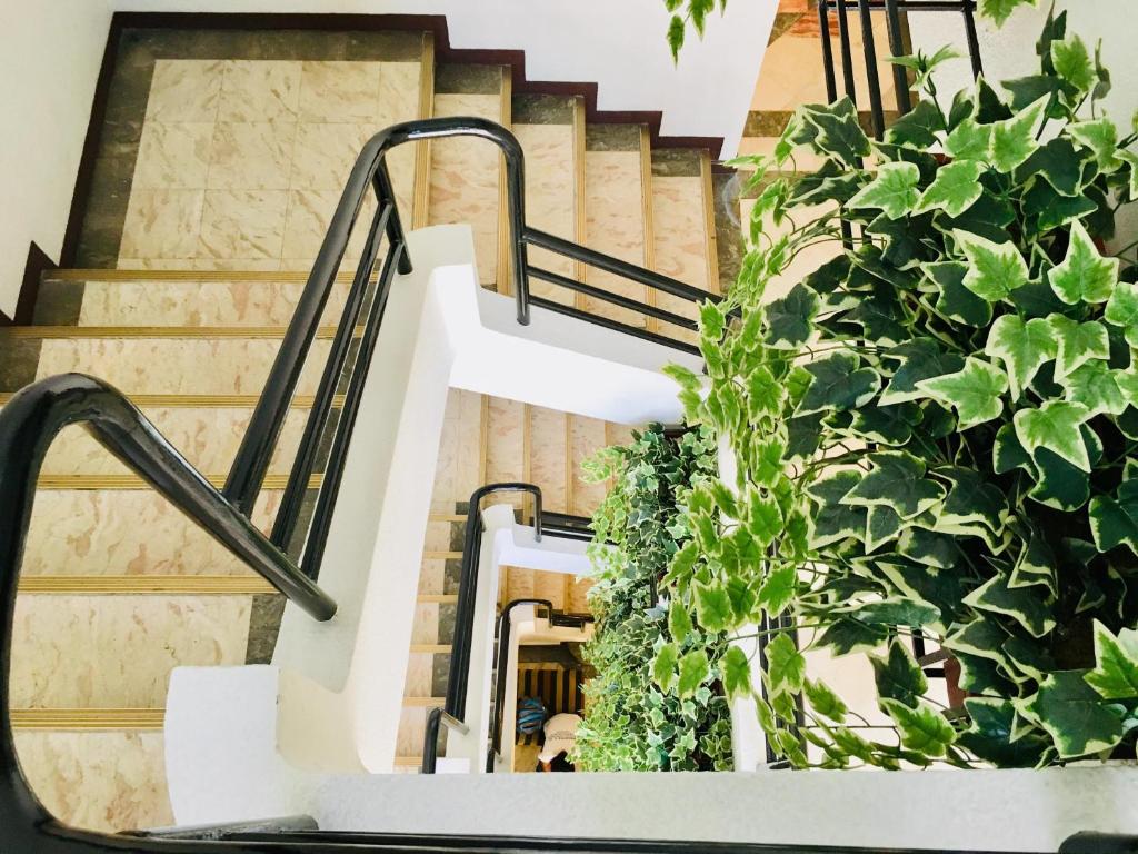 Fotografie z fotogalerie ubytování Jupiter Suites v destinaci Manila