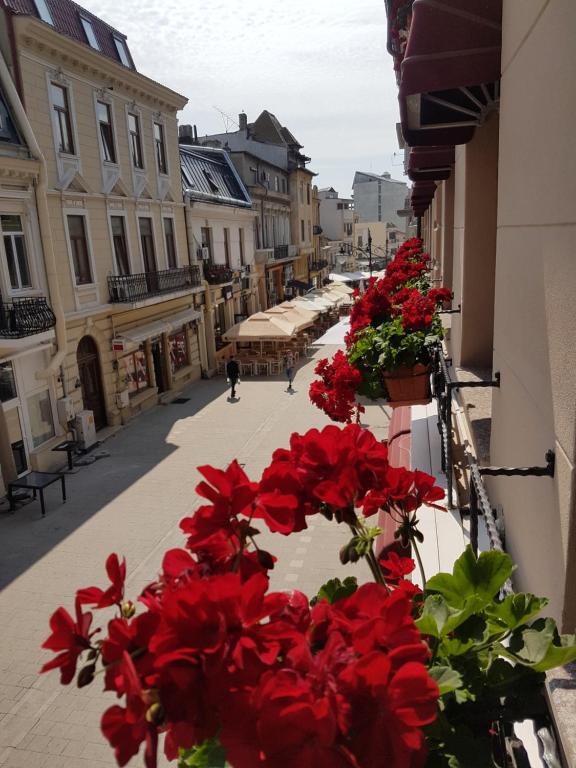 Villa Anticus (Adults Only) - Resim 30